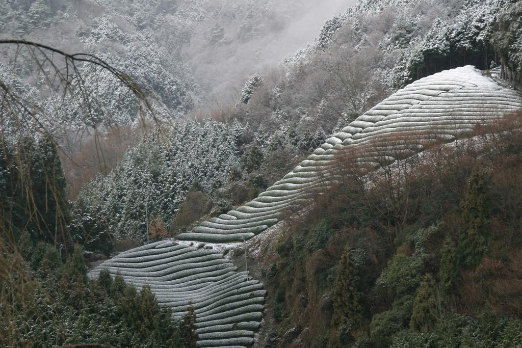 Отель Kyoto Wazukaso Kizugawa Экстерьер фото